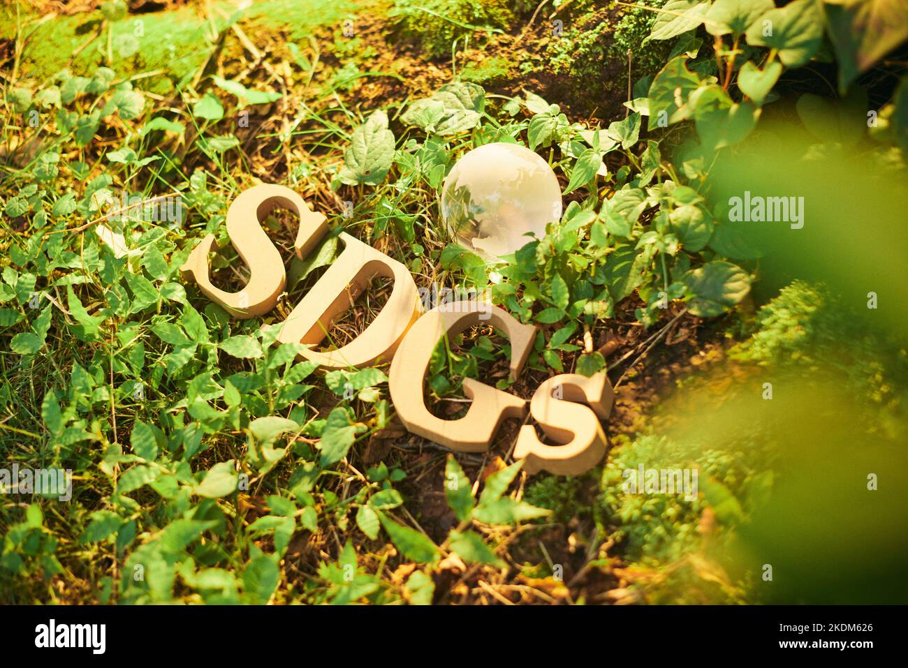 SDGs image Stock Photo