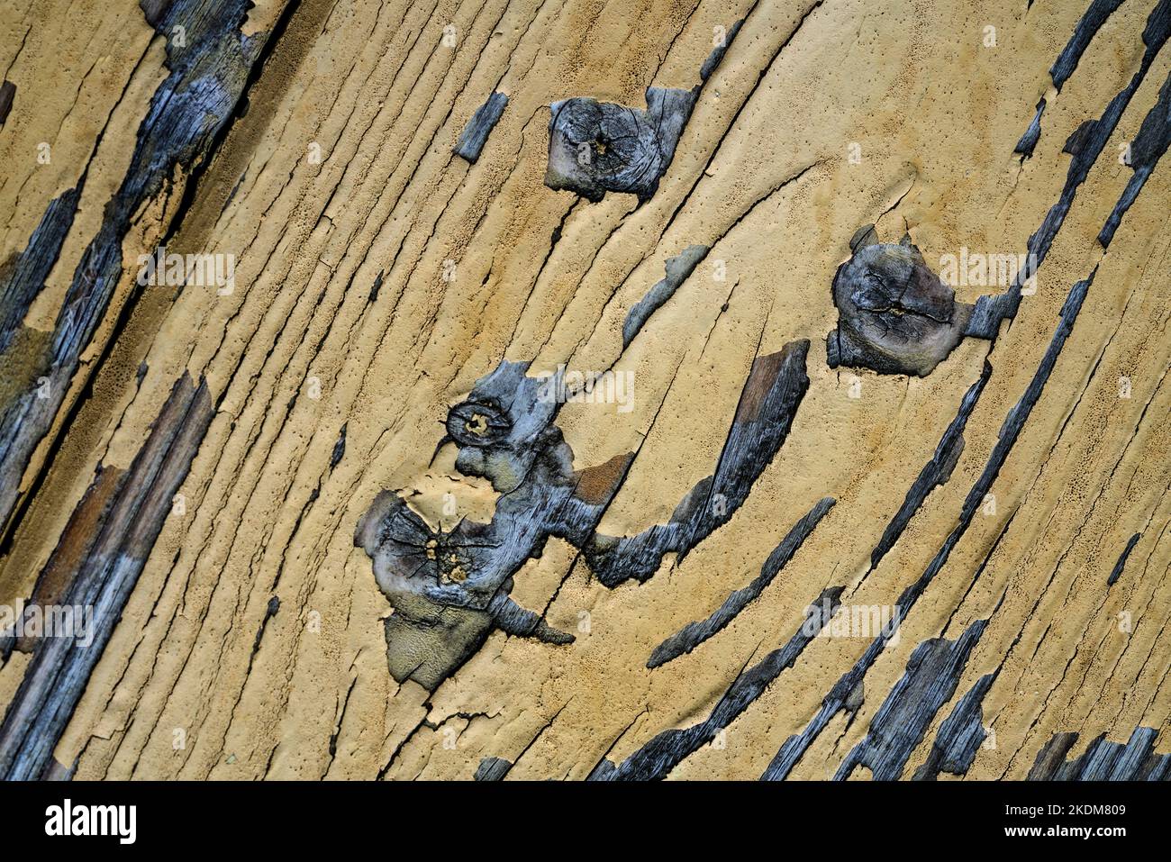 Old wood planks, looks like a face Stock Photo