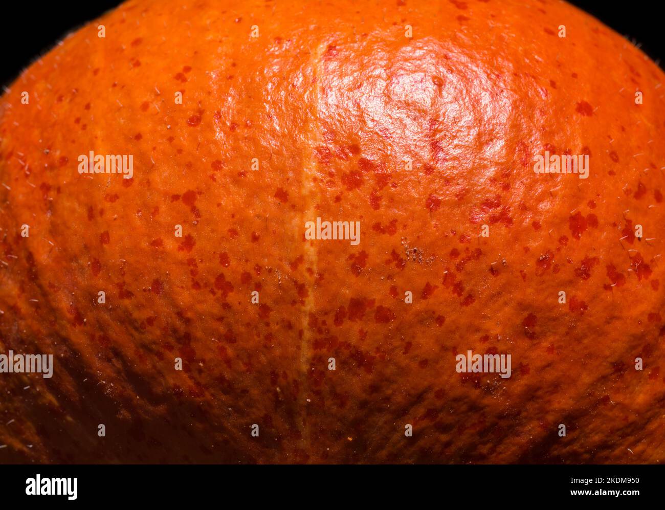 Detail of a Red kuri squash Stock Photo