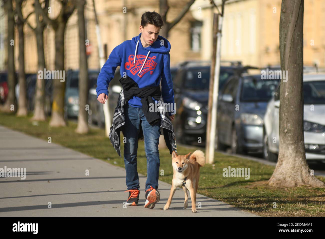 Young man walking his dog in King Tomislav Square (Trg Kralja Tomislava) during winter. Zagreb, Croatia Stock Photo