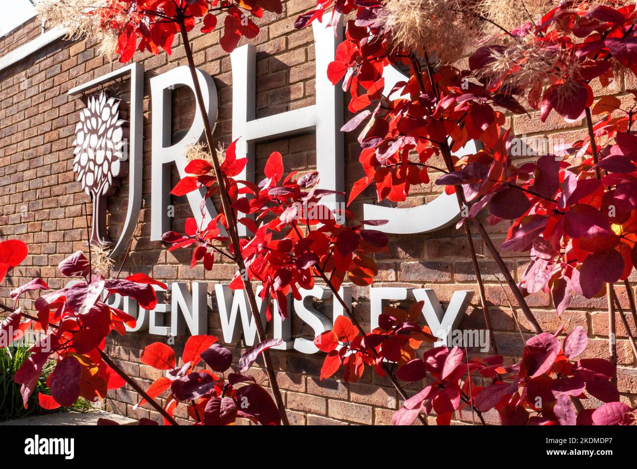 RHS Garden Sign and logo. Wisley Entrance viewed through autumnal red leaf foliage in sunny conditions Wisley Gardens Surrey UK Stock Photo
