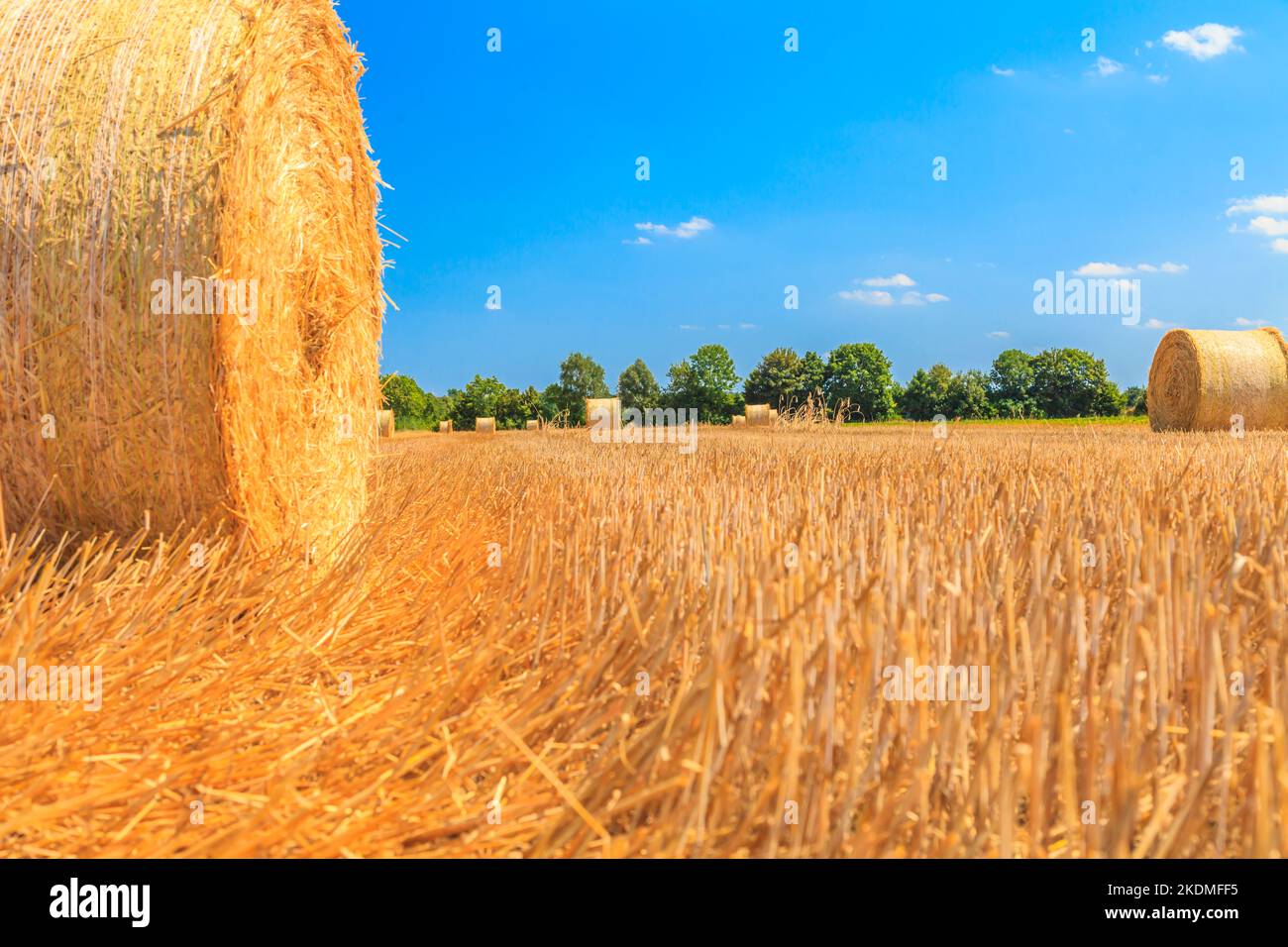 Recording of a mowed-down area during the day in late summer in sunshine and blue skies Stock Photo