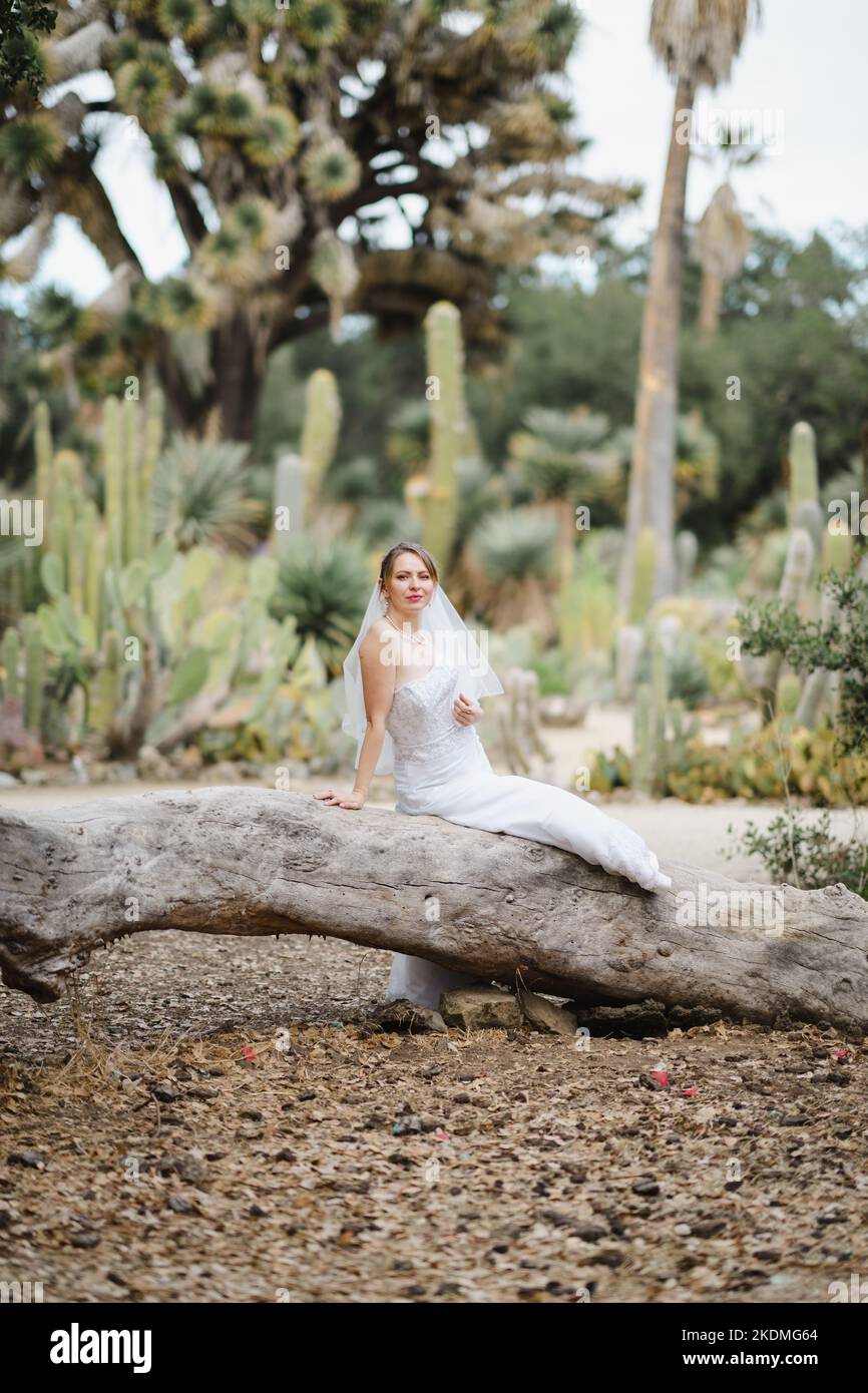 Bride Seated on Large Fallen Tree in Cactus Garden Stock Photo
