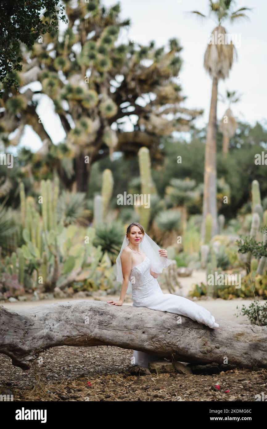 Bride Seated on Large Fallen Tree in Cactus Garden Stock Photo