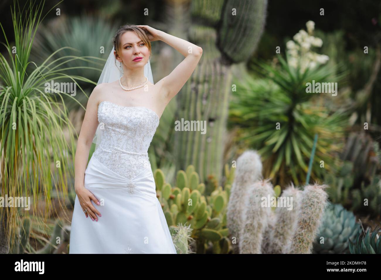 Bride Standing in a Cactus Garden Stock Photo