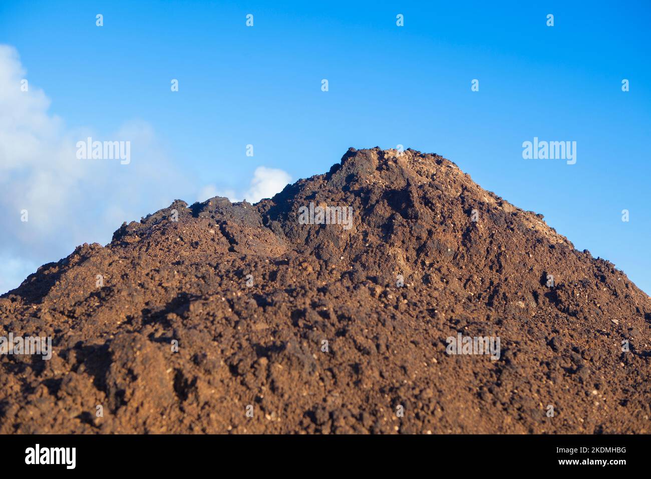 Composted olive mill pomace piled beside vineyard. Tierra de Barros, Spain Stock Photo