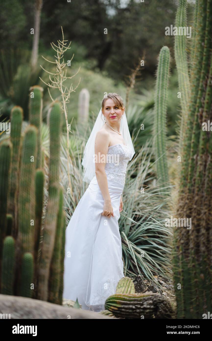 Bride Walking Through Cactus Garden Stock Photo