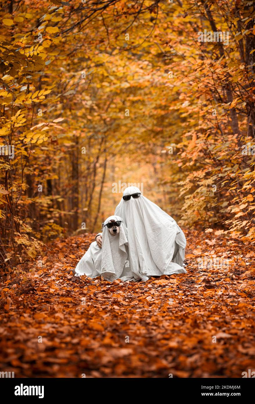Puppy scared person hi-res stock photography and images - Alamy