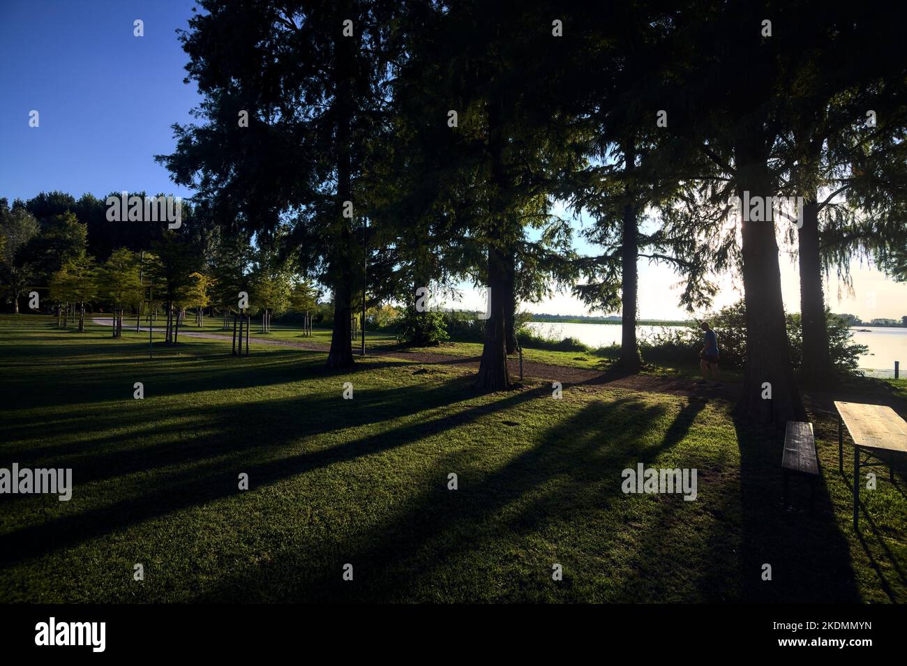 Dirt path near the lakeshore in a park at sunset Stock Photo - Alamy