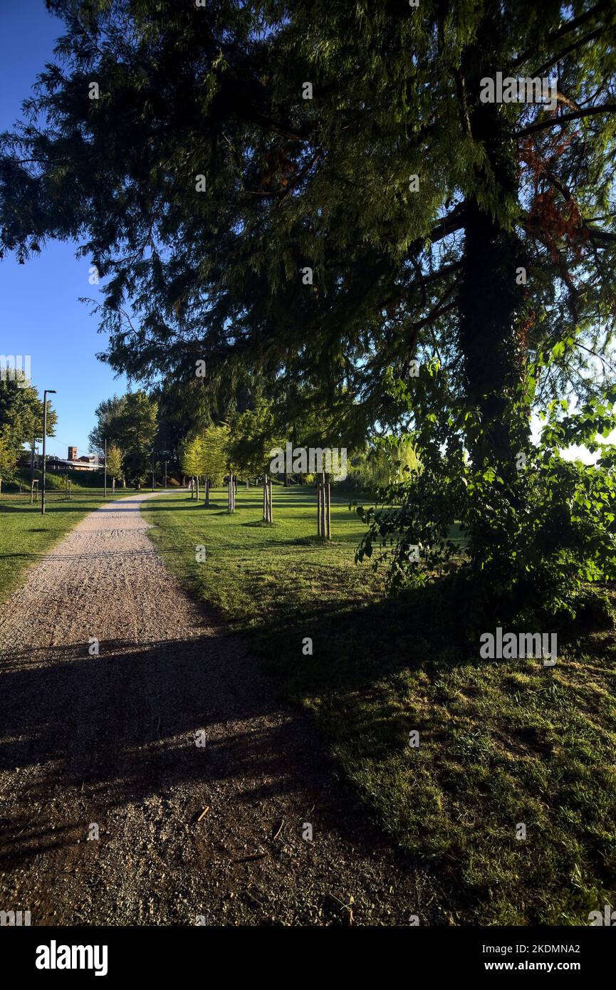 Dirt path near the lakeshore in a park at sunset Stock Photo - Alamy