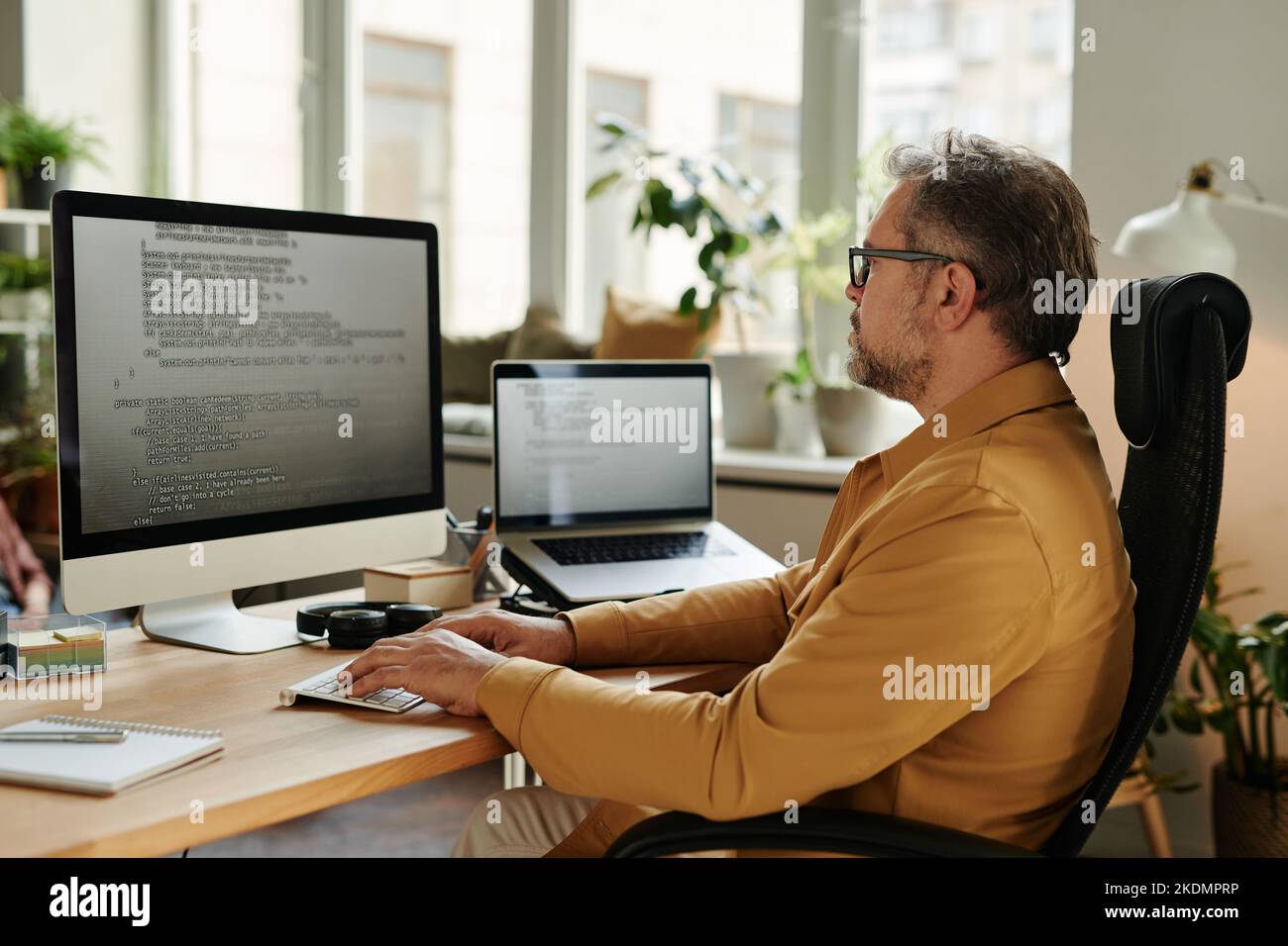 Serious mature software developer looking at code on computer screen while decoding data and carrying out working tasks in office Stock Photo