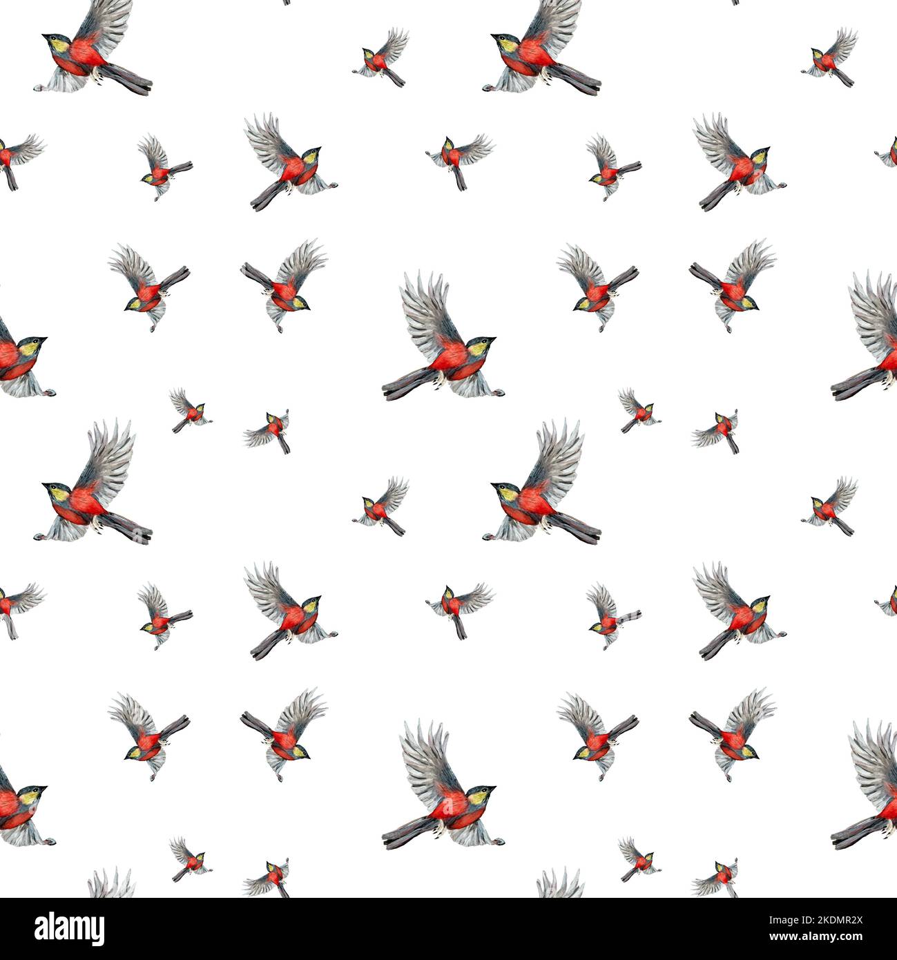 Bird red pattern a cute watercolor illustration Stock Photo - Alamy