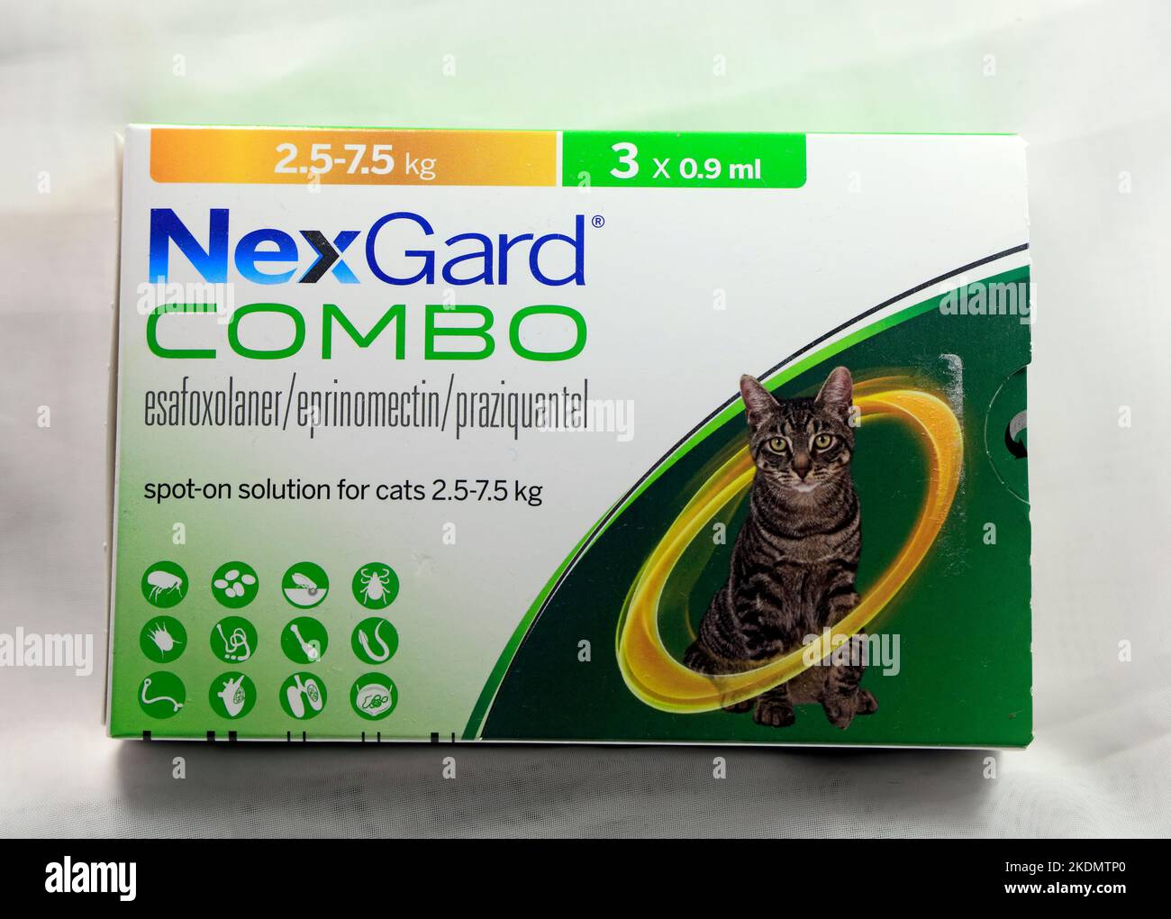 NexGard Combo pet parasite treatment box. Spot-on treatment for cats 2.5-7.5kg. Studio set up. November 2022. Autumn Stock Photo