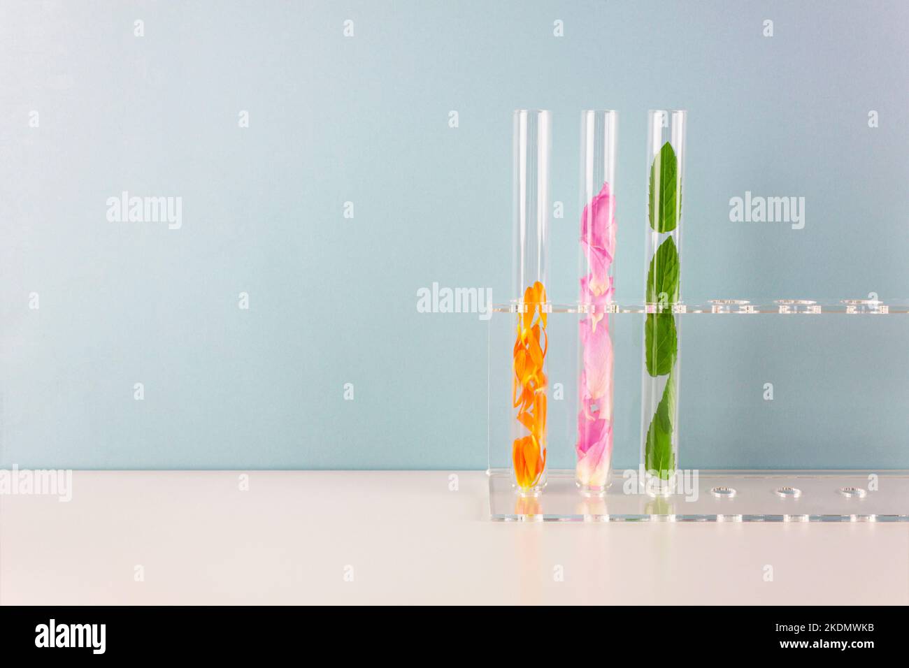 Flowers and plants in test tubes. Natural perfume, aromatic and