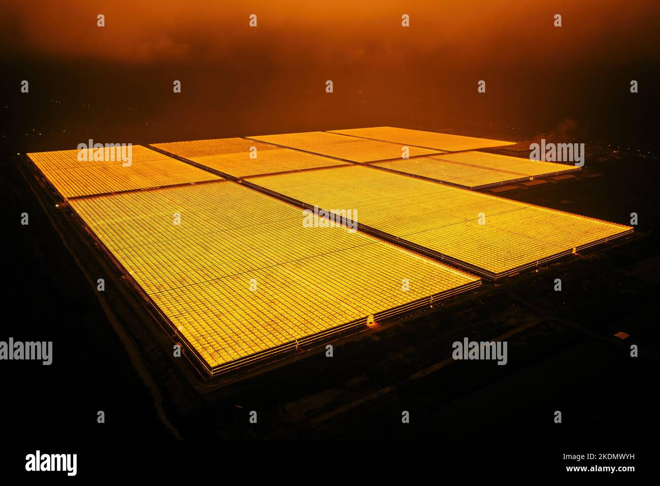 Aerial view of large modern glass greenhouse complex at foggy night