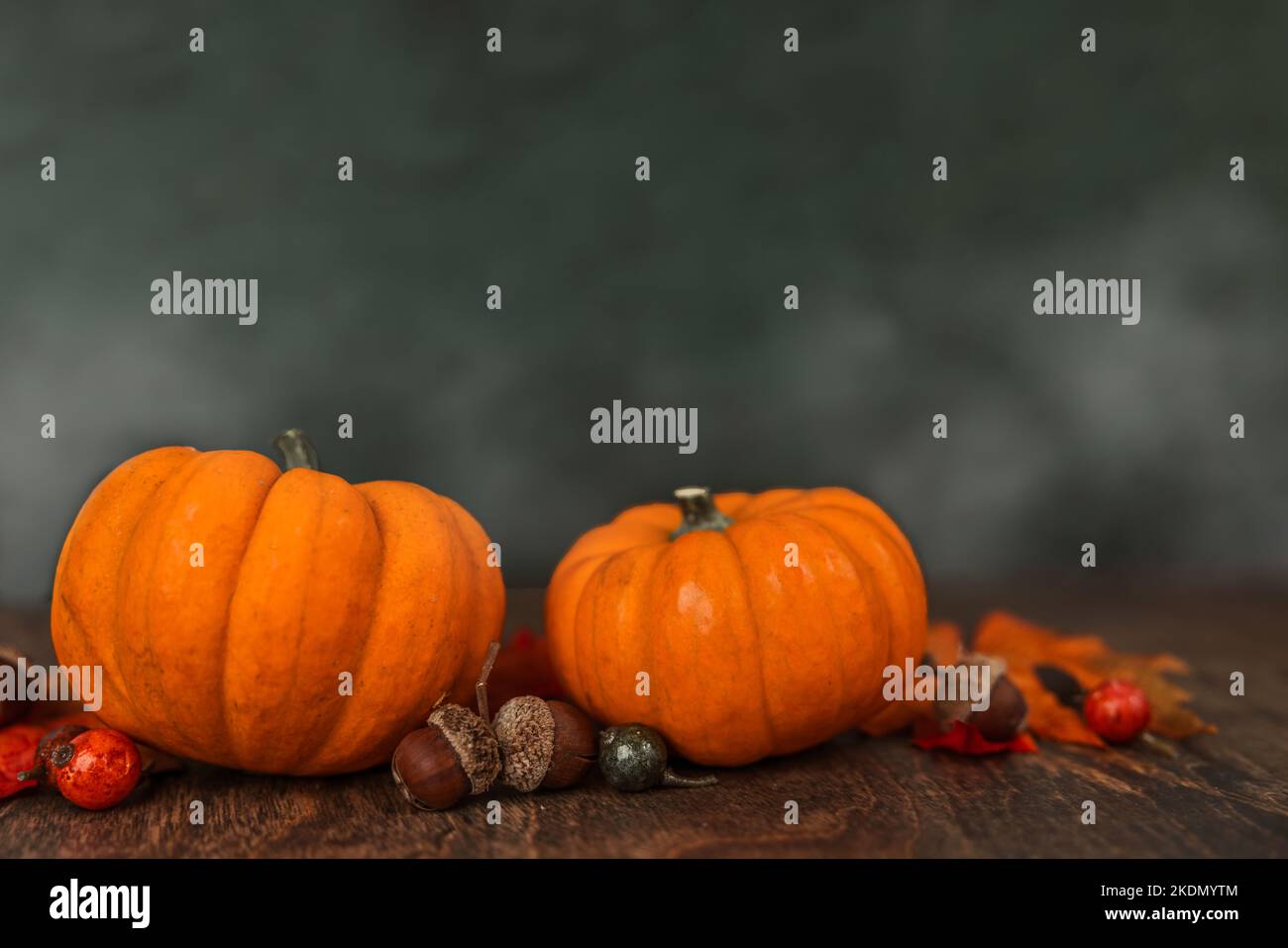 A row of miniature orange pumpkins on a rustic wood surface with a gray ...