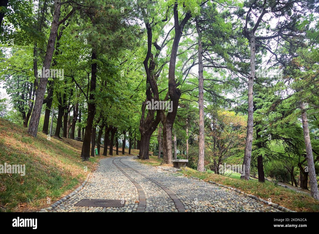 Paved path under the tree canopy of a park with stone benches by its ...