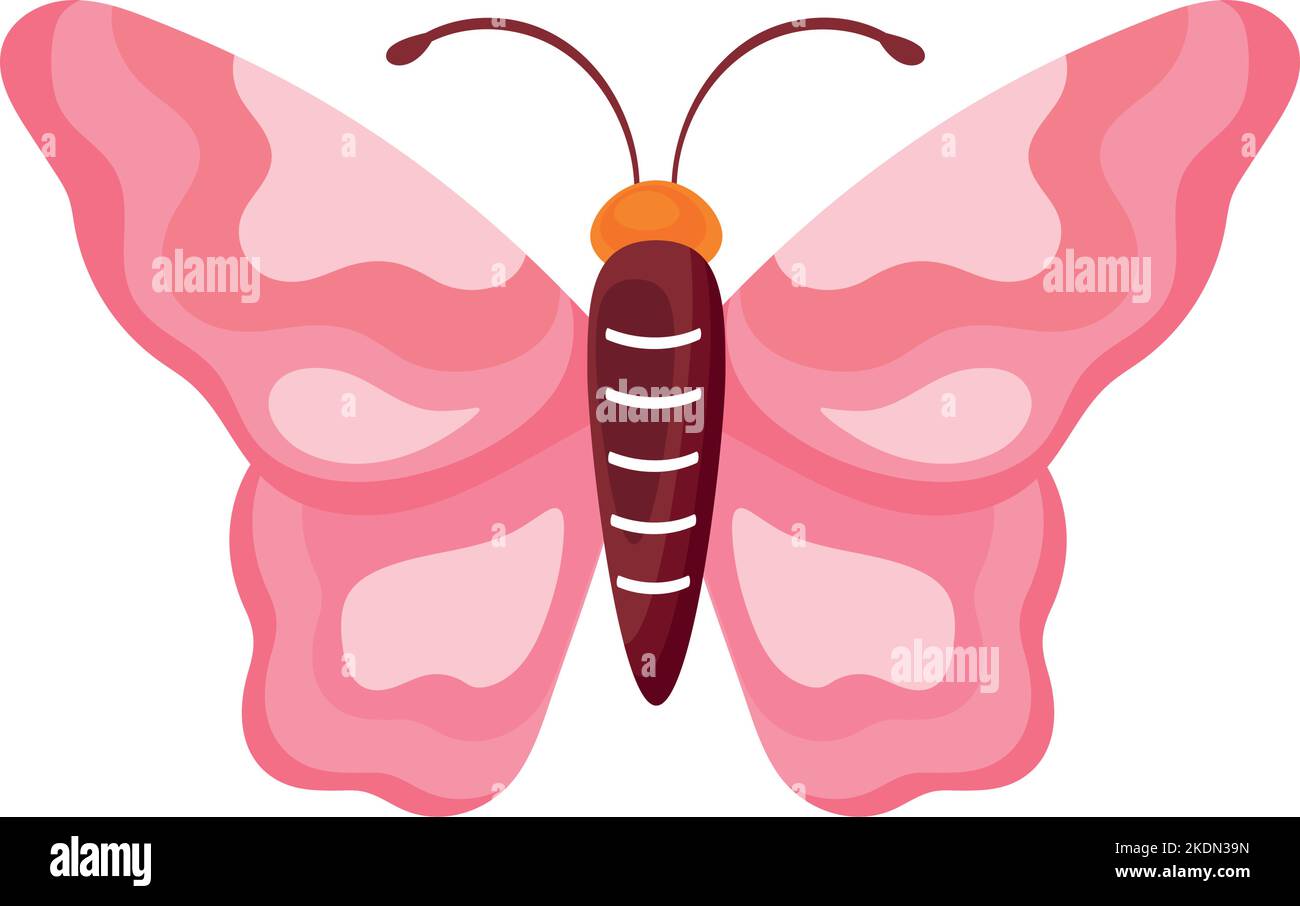 pink beauty butterfly insect Stock Vector Image & Art - Alamy