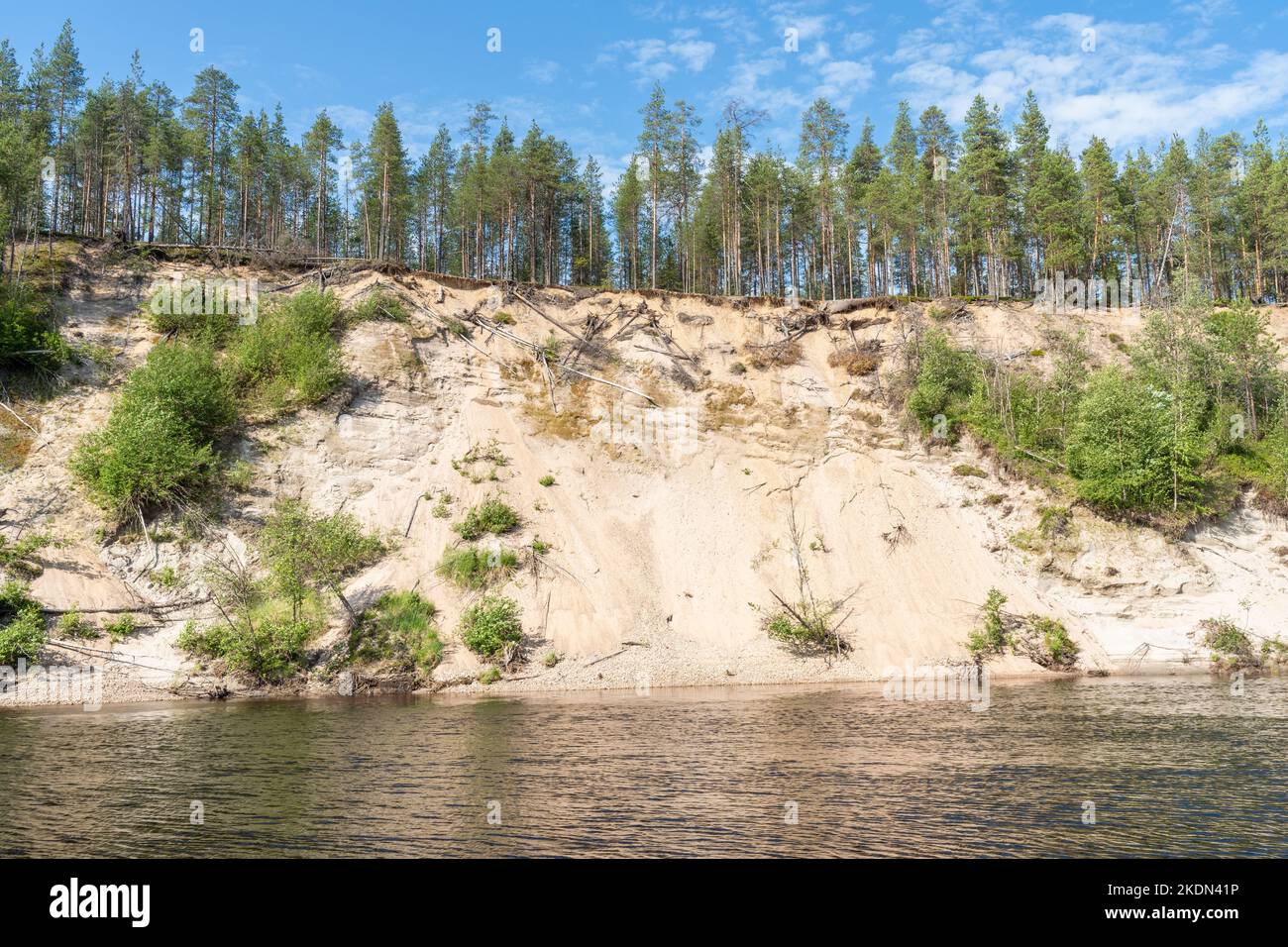 A Steep Sandy River Bank On A Sunny Summer Day In Oulanka National Park 