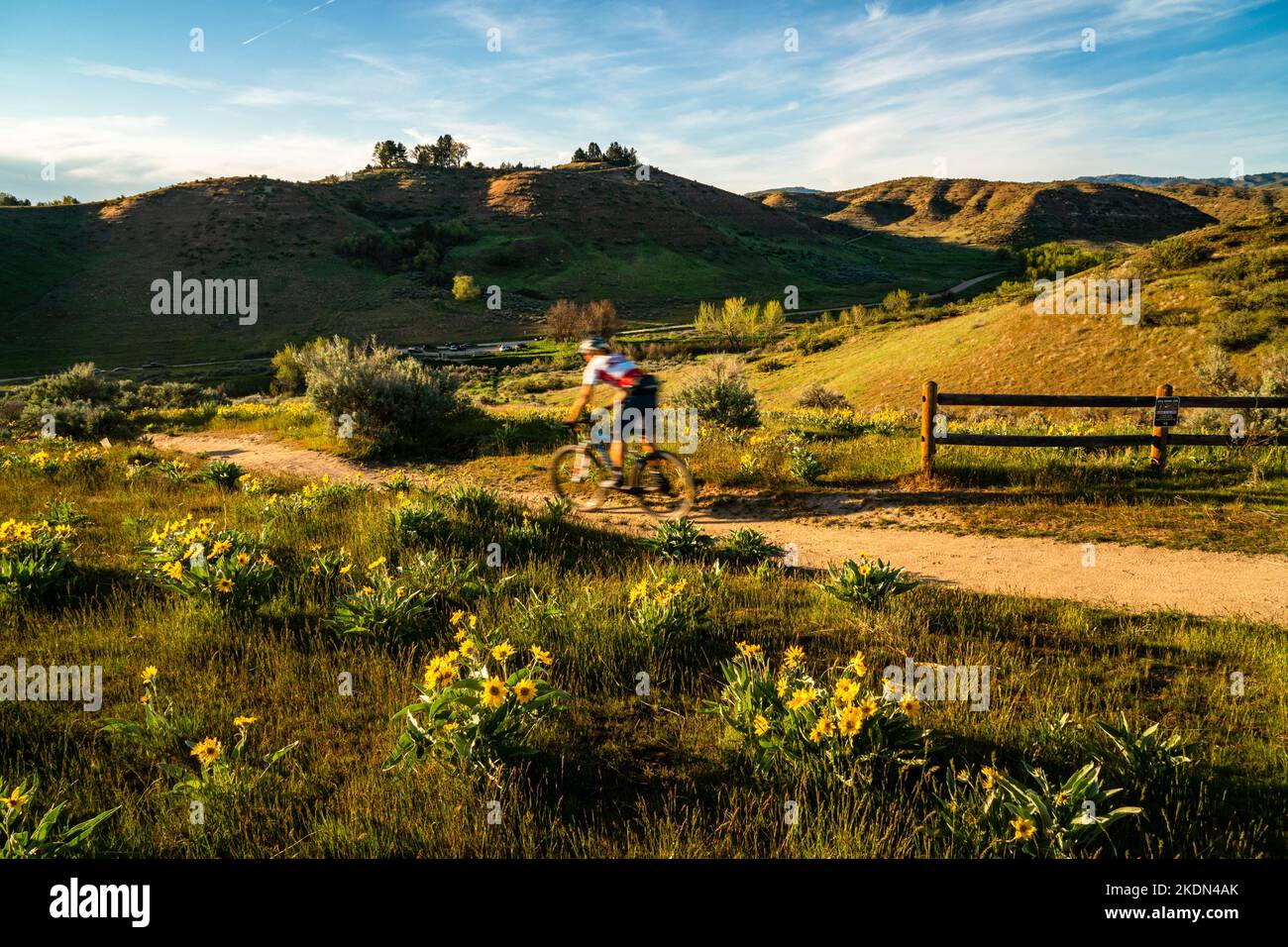 Mountain biker in the Military Reserve area in the Boise Foothills, late afternoon. Stock Photo
