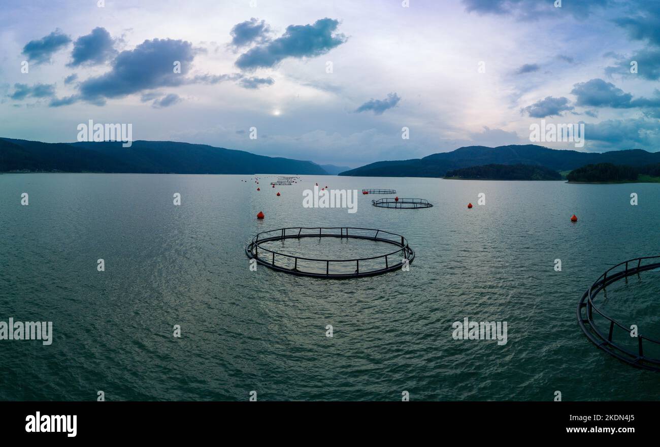 Professional breeding of freshwater fish in intermountain blue lake with round nets. Cloudy weather, Rhodope mountains, Europe. Panorama, top view Stock Photo