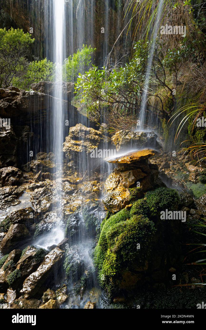 Waterfall in the Enchanted Forest, Heaphy Track, Kahurangi National 