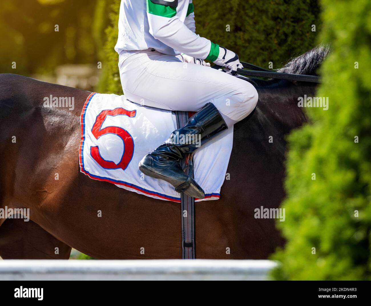 Hands and uniform of a jockey. Race horse in racing competition. Jockey sitting on racing horse. Sport. Champion. Hippodrome. Equestrian. Derby. Horse Stock Photo