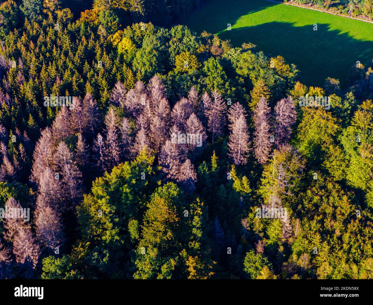 Aerial view of green mountains and forest, view from above Stock Photo ...