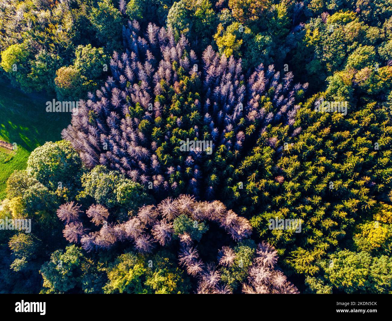 Aerial view of green mountains and forest, view from above Stock Photo ...