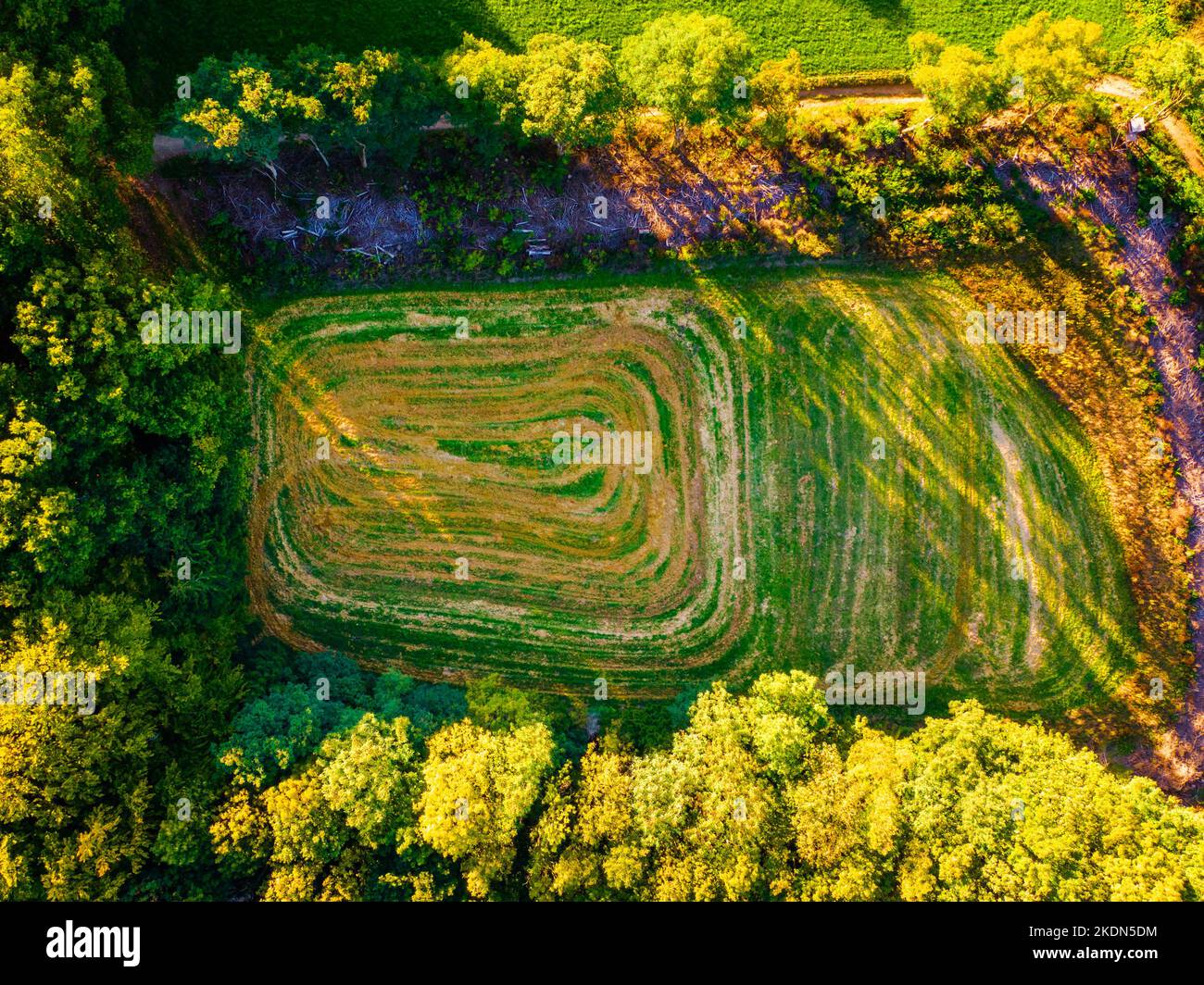 Aerial view of green mountains and forest, view from above Stock Photo ...