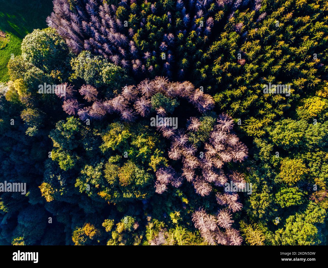 Aerial view of green mountains and forest, view from above Stock Photo ...
