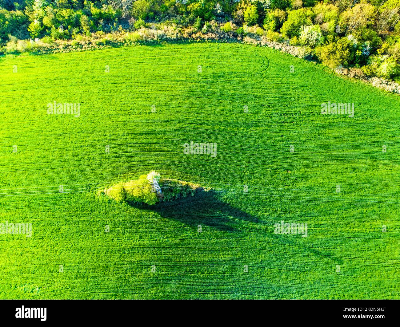 Aerial view of green mountains and forest, view from above Stock Photo ...