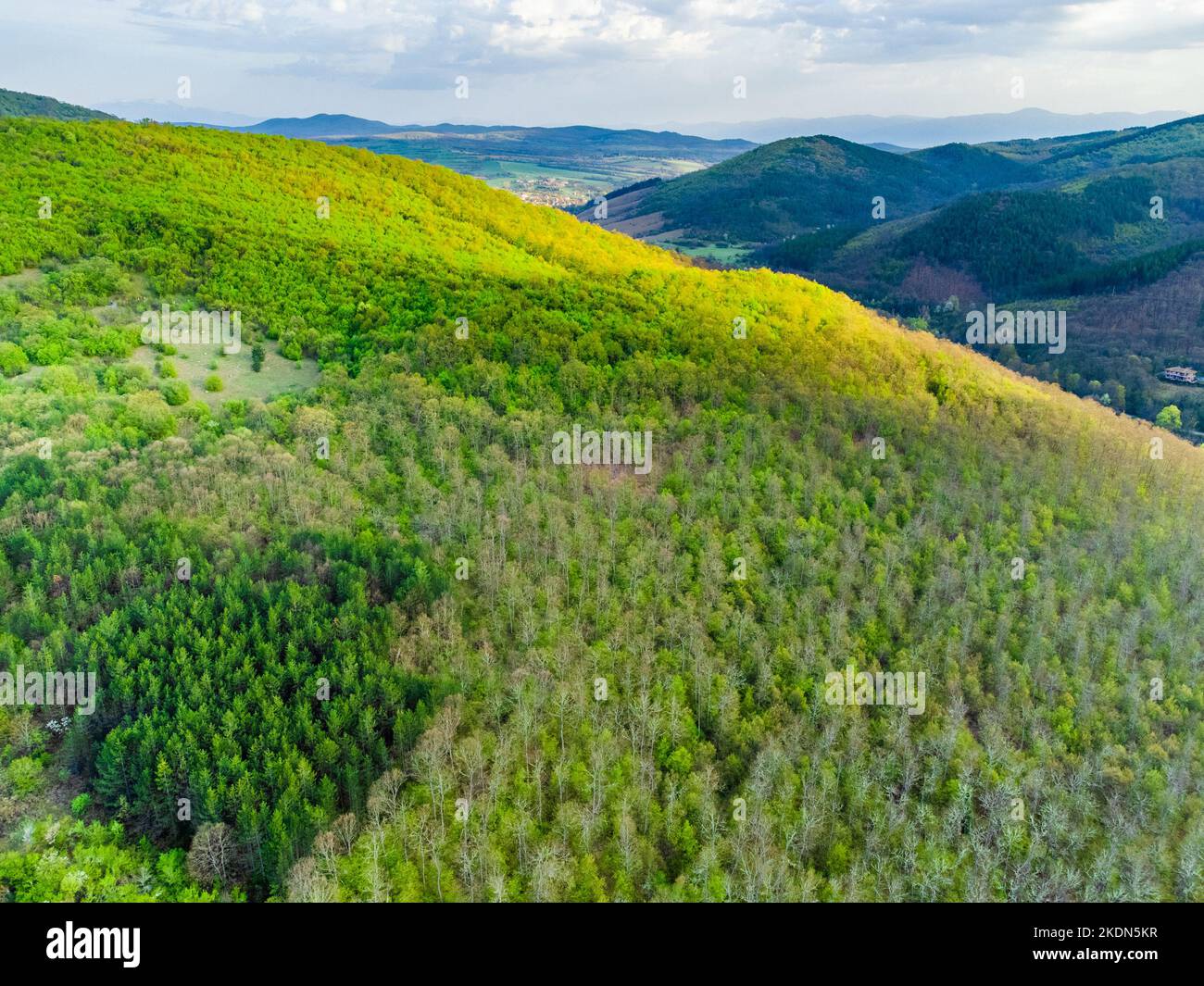 Aerial view of green mountains and forest, view from above Stock Photo ...