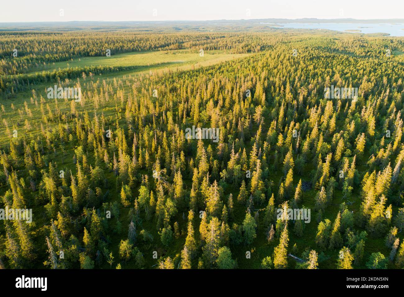 An aerial of a vast Finnish landscape with old-growth forests and bogs in Riisitunturi National Park Stock Photo