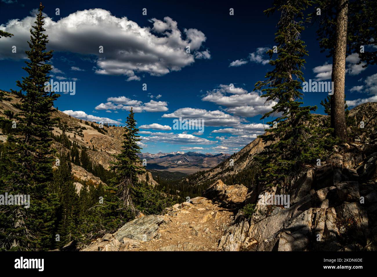 Trail to Alice Lake with White Cloud Mountains in the distance Stock