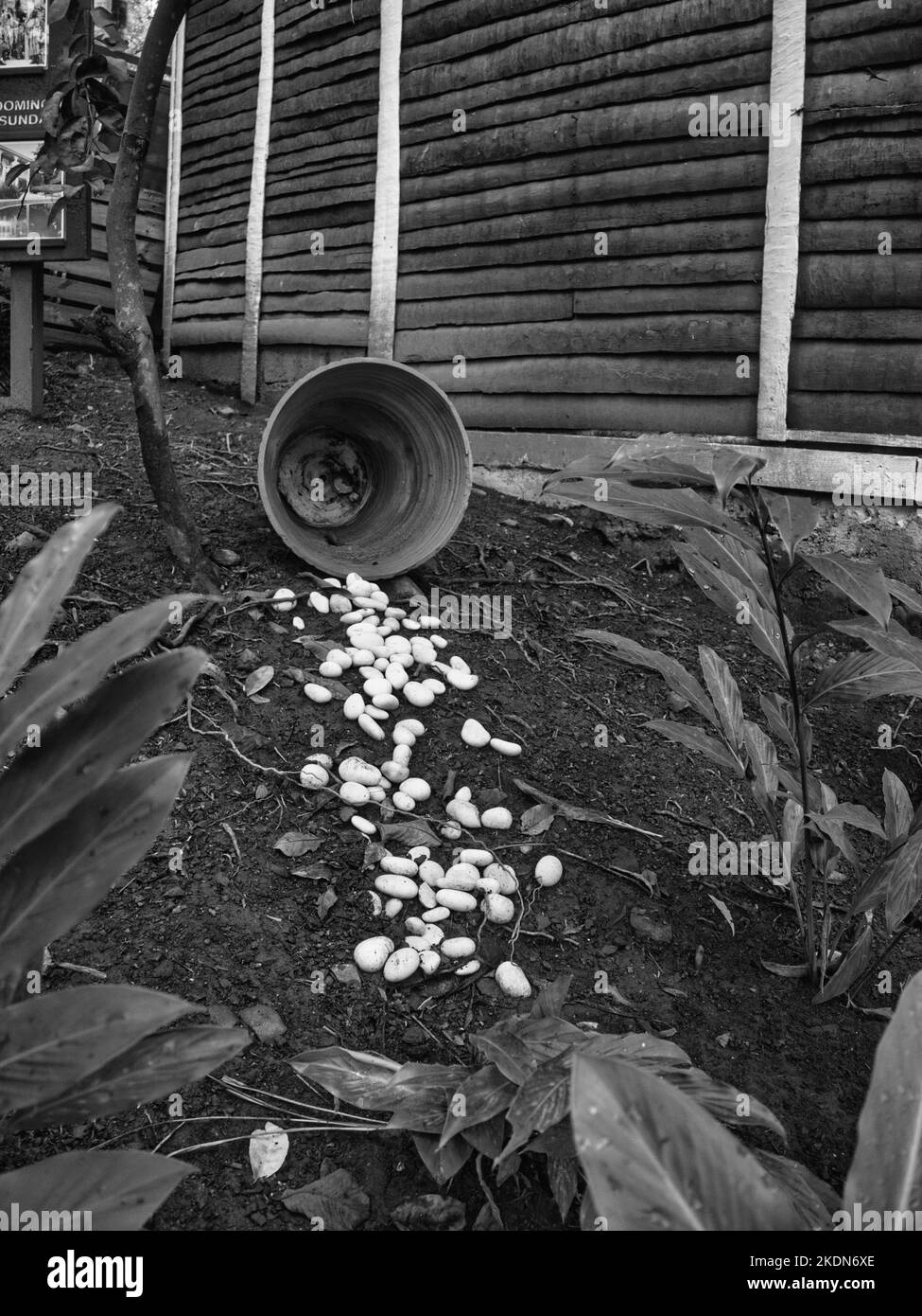 stones thrown in the field Stock Photo