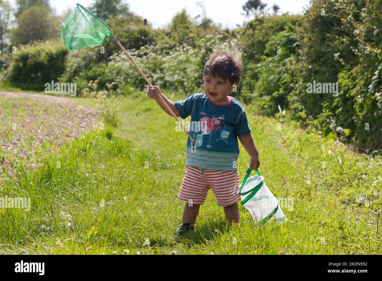 little boy out on bug hunt in countryside, south downs national park, England Stock Photo