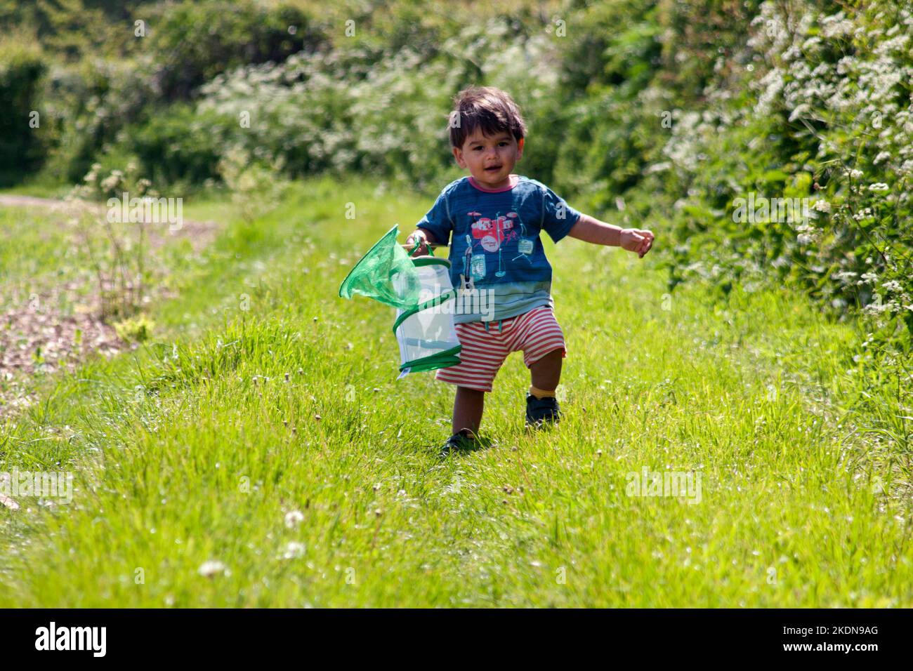 little boy out on bug hunt in countryside, south downs national park, England Stock Photo