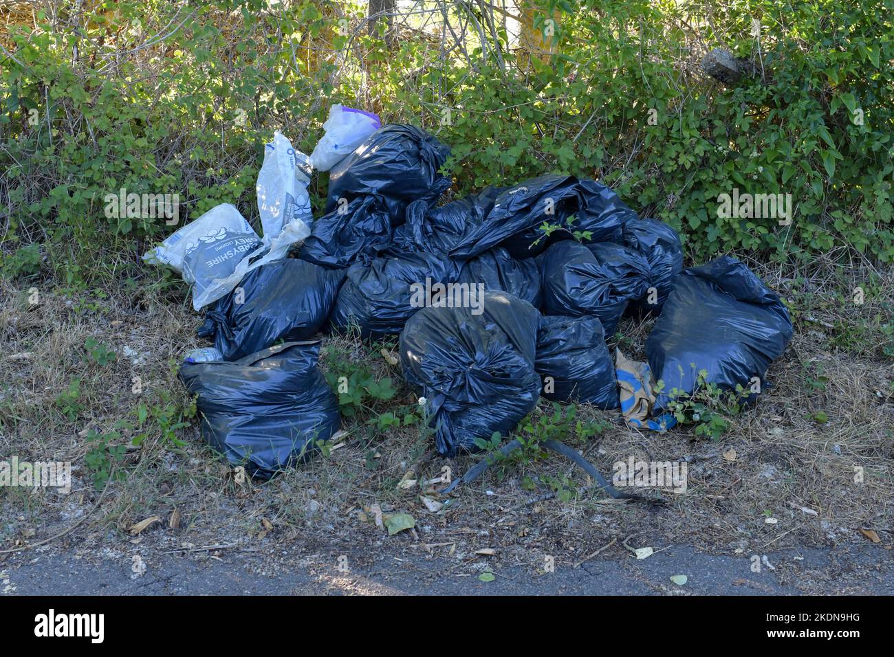 black bags filled with rubbish dumped by the side of a rural road, England, UK Stock Photo