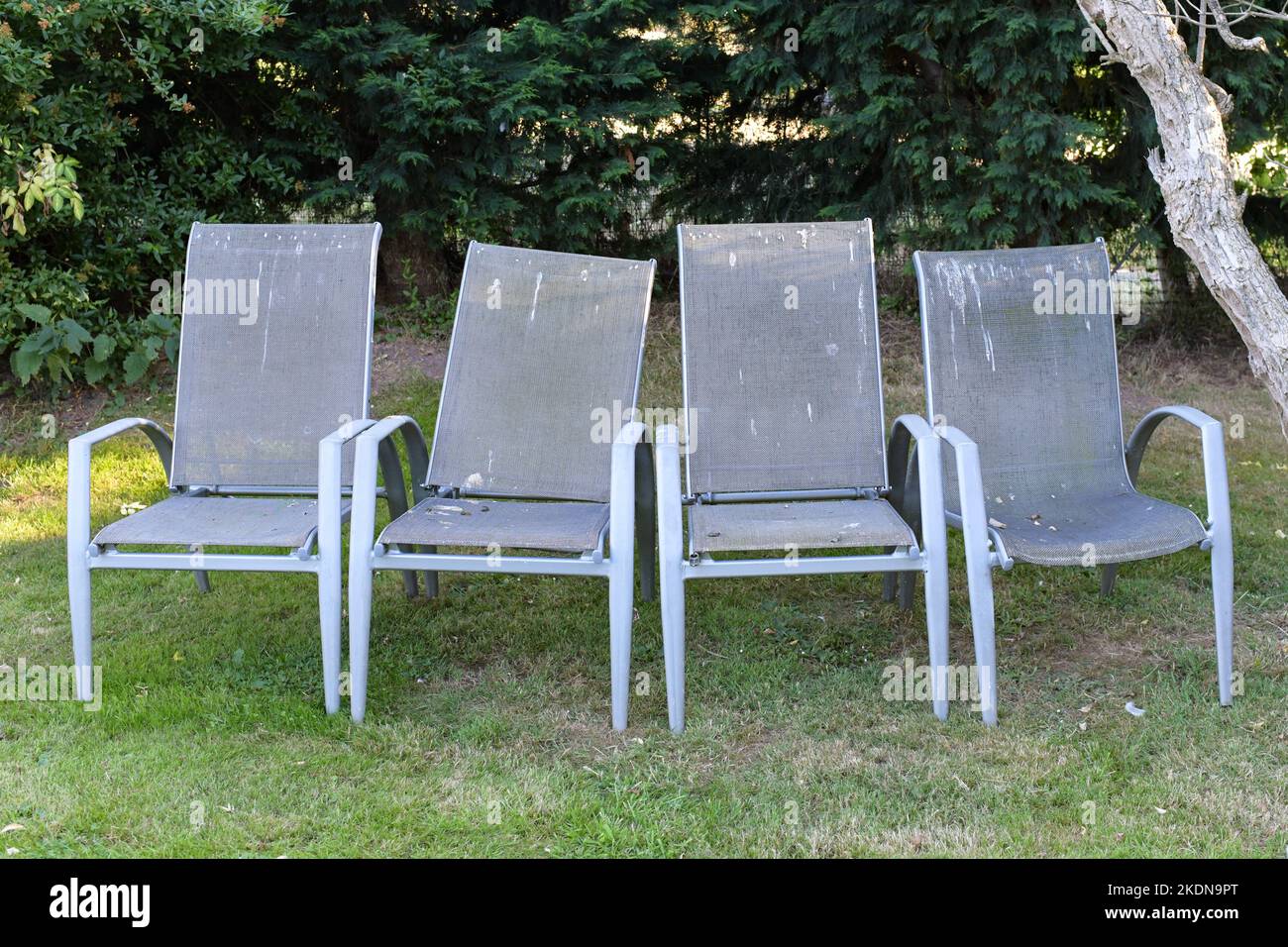 Garden chairs green algae hires stock photography and images Alamy