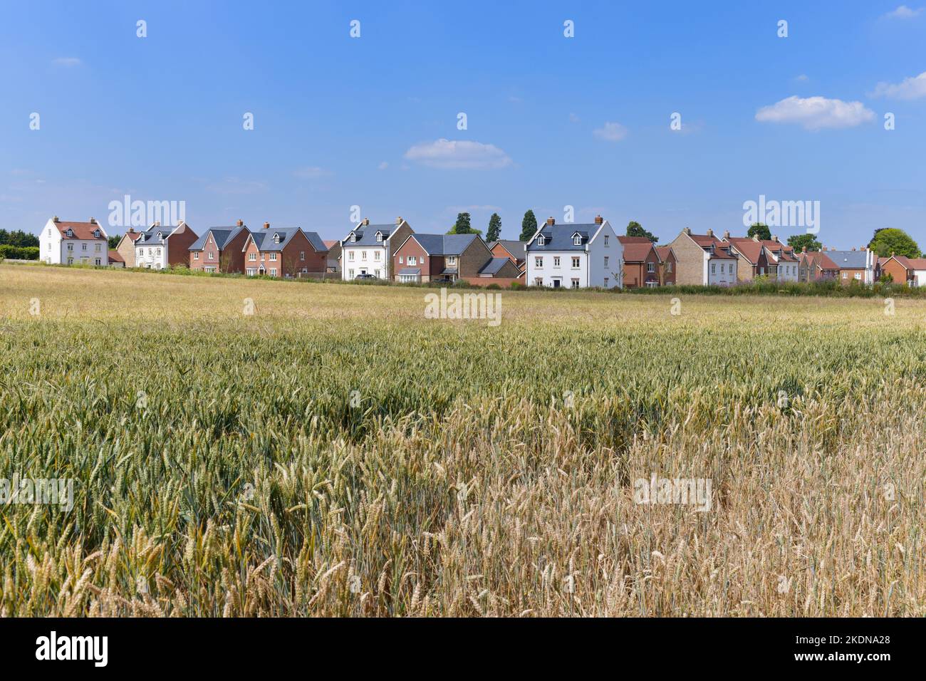 New housing development 'Orchard Green' next to farmland by Matthew
