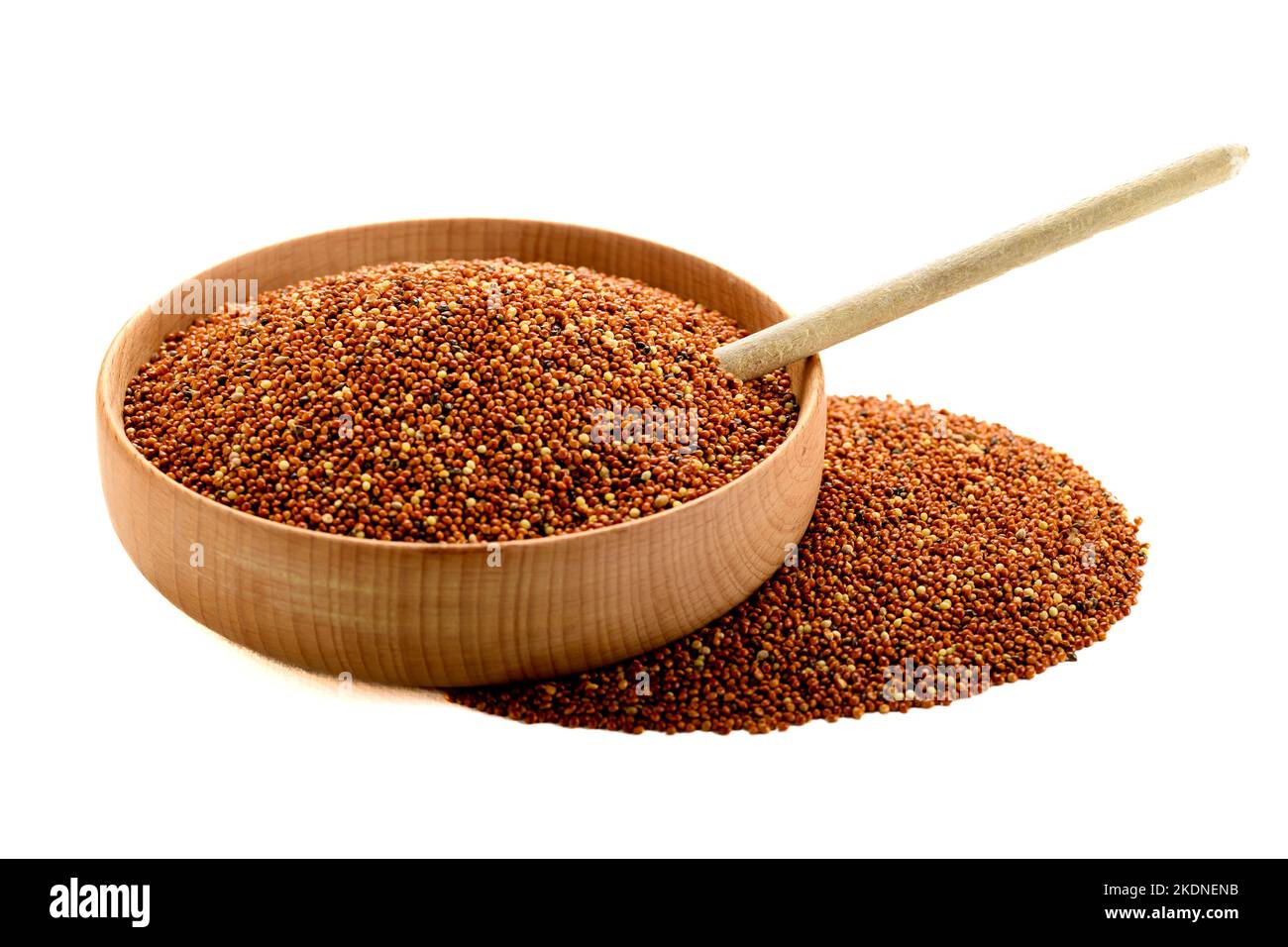 dried grains bird food. Red millet grain. Millets are a highly varied