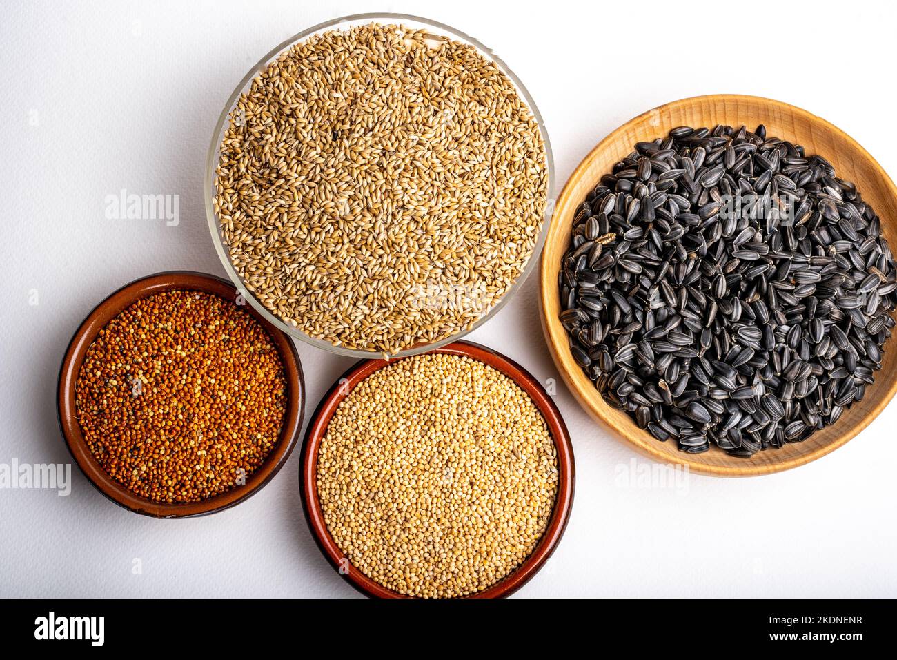 Dried grains bird food. Red millet grain, yellow millet grain, black