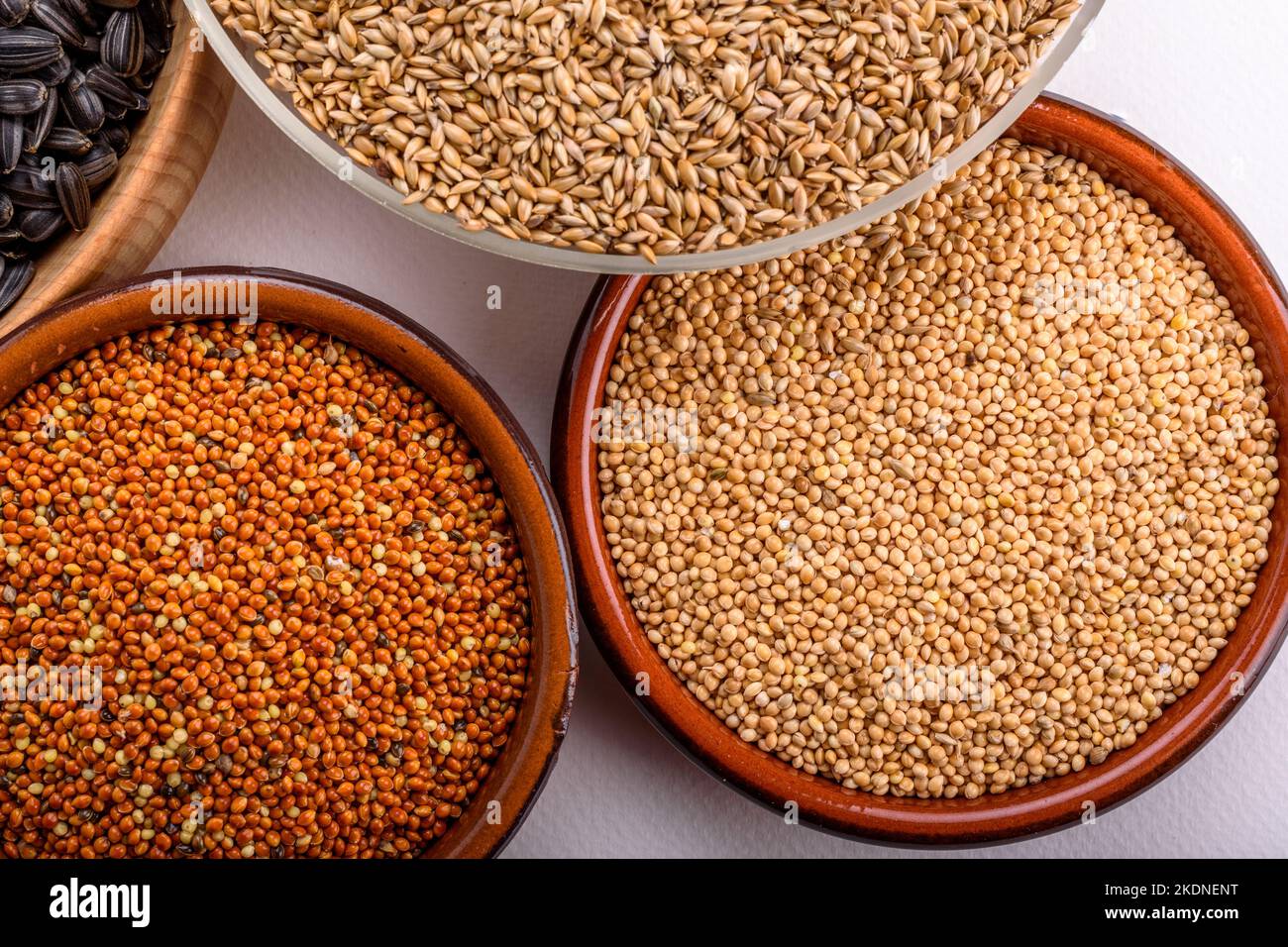 Dried grains bird food. Red millet grain, yellow millet grain, black