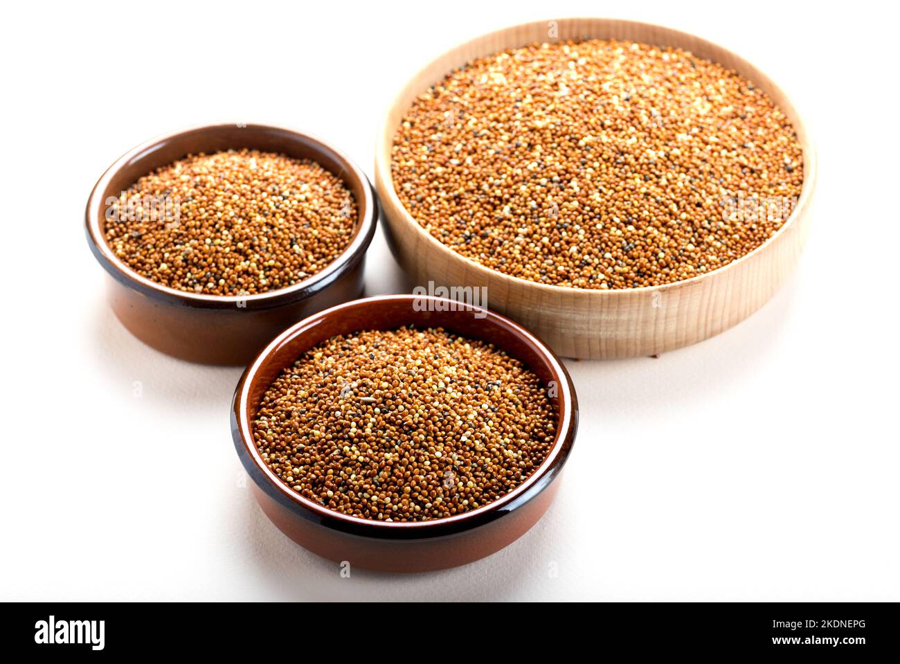 dried grains bird food. Red millet grain. Millets are a highly varied
