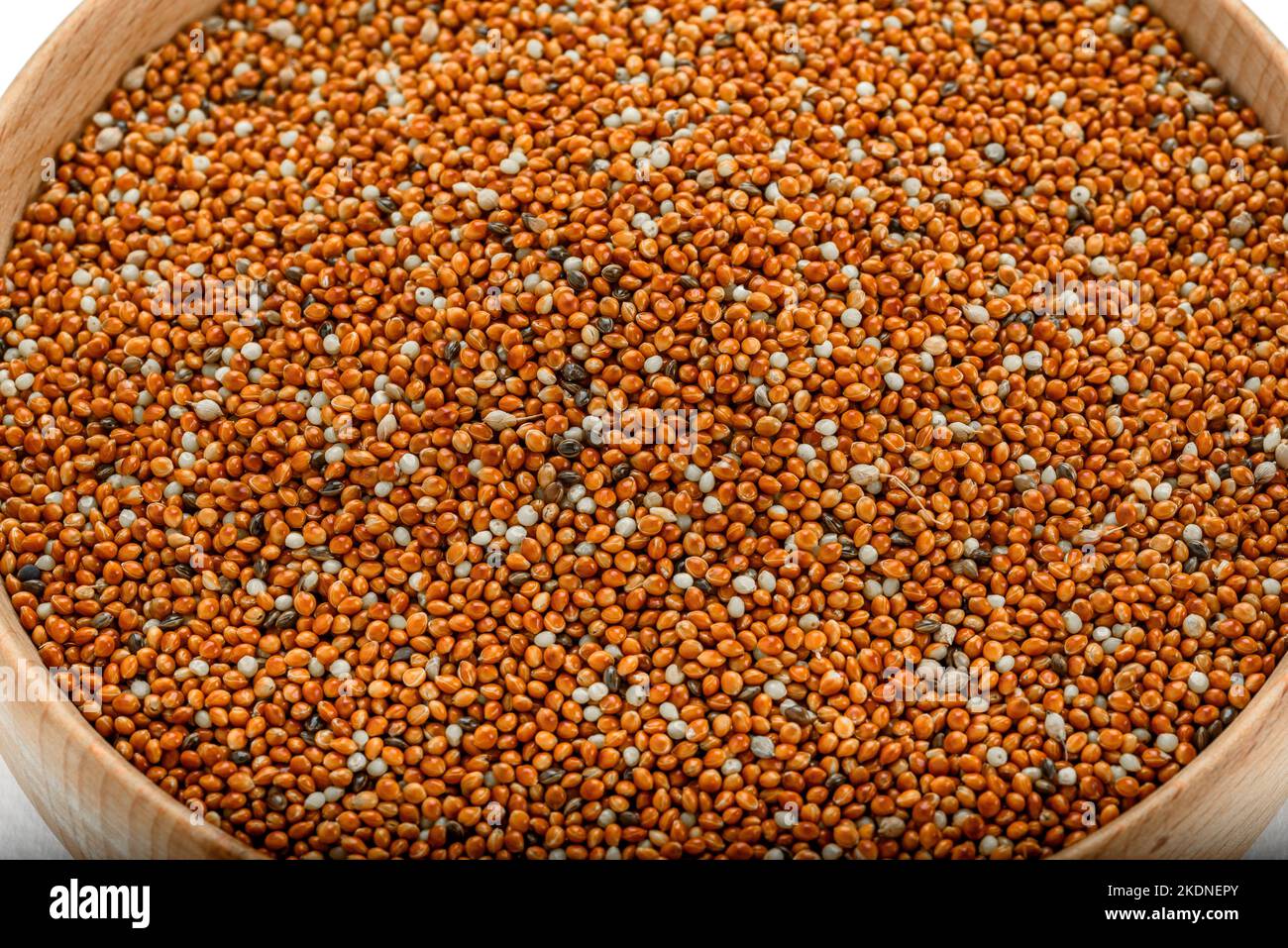 dried grains bird food. Red millet grain. Millets are a highly varied