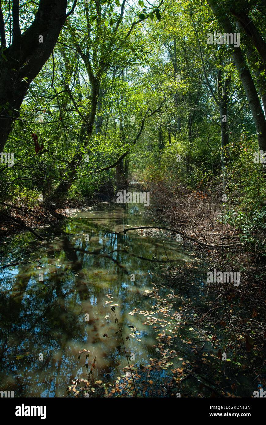Deas Island Regional Park in Delta, British Columbia, Canada Stock Photo Alamy