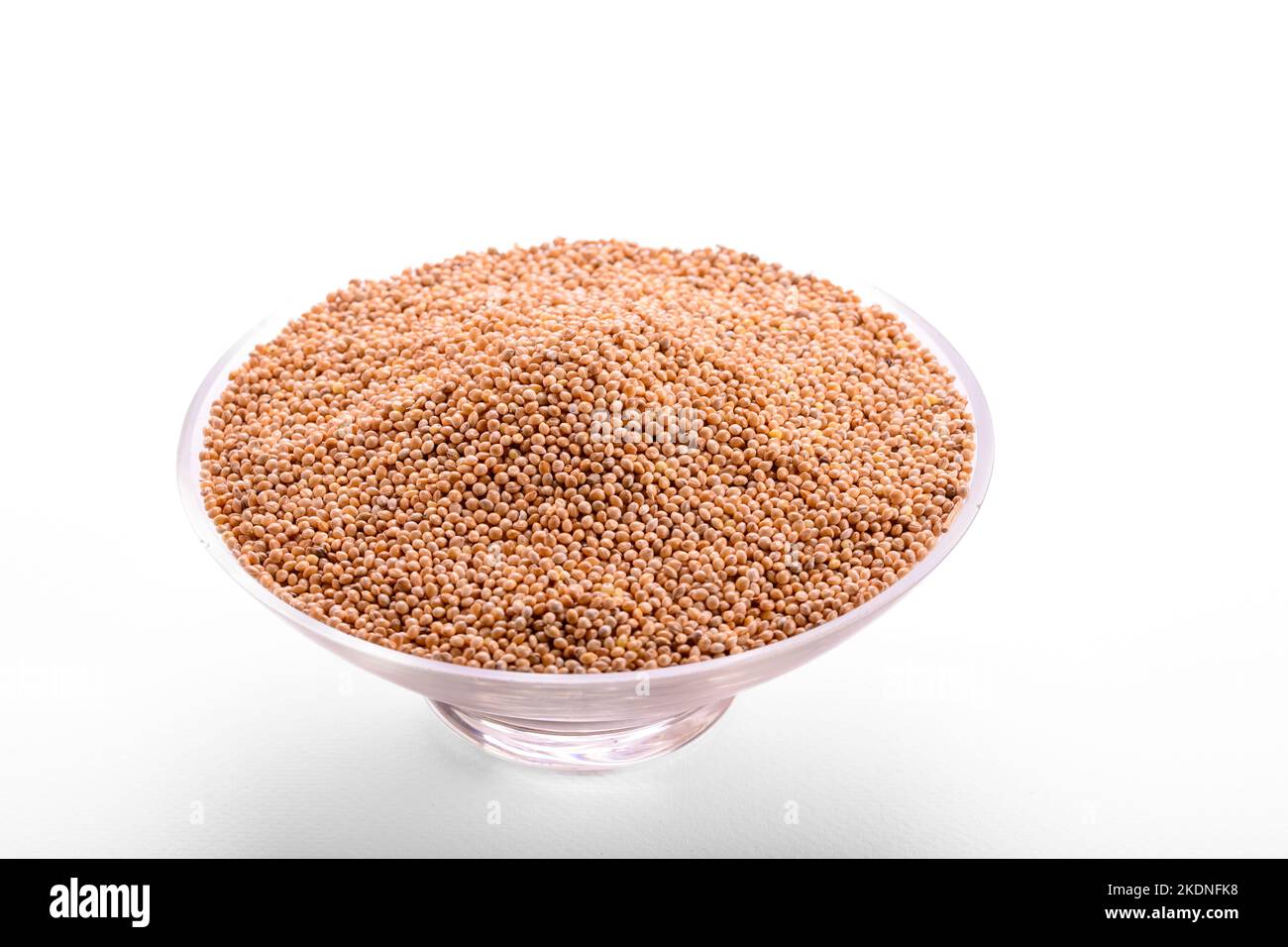 dried grains bird food. Millets are a highly varied group of small