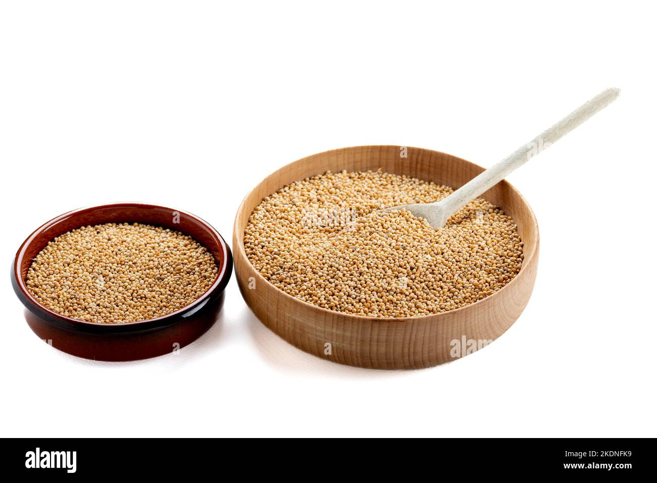 dried grains bird food. Millets are a highly varied group of small