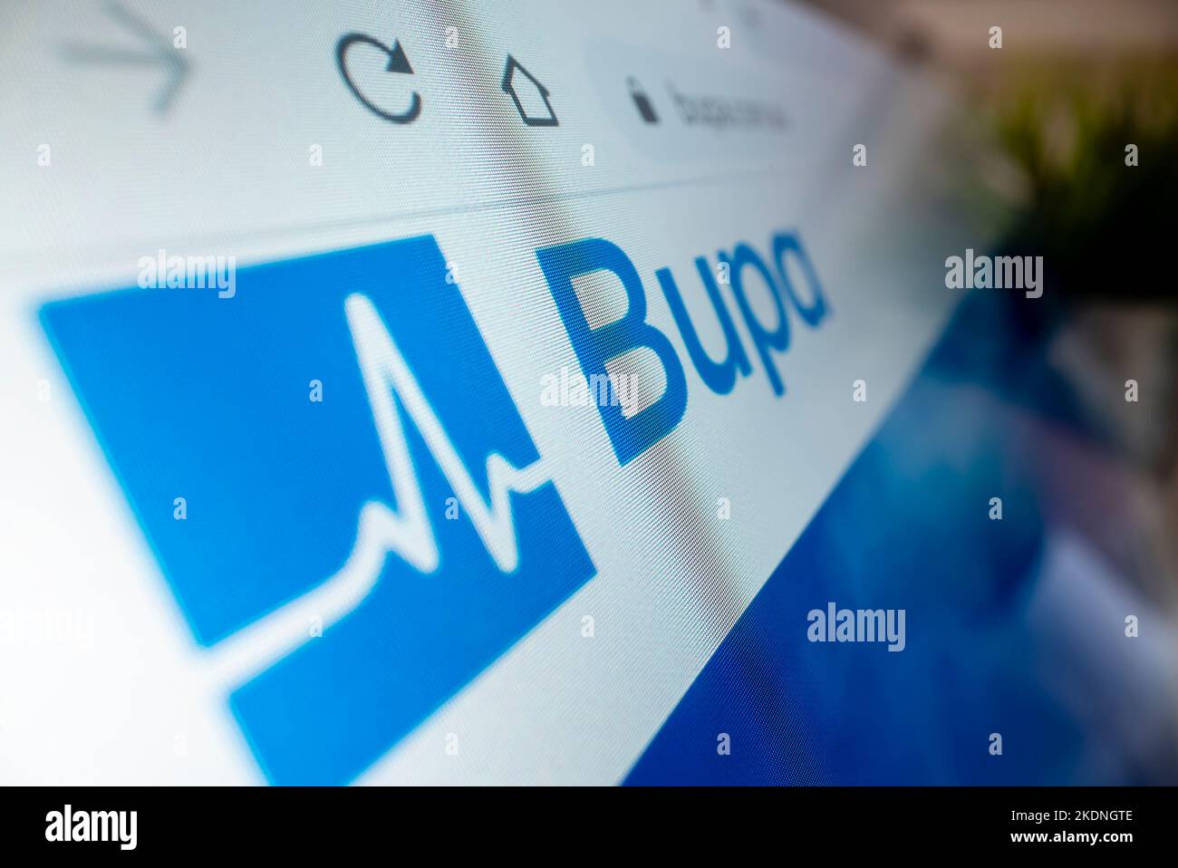 Melbourne, Australia - Oct 21, 2022: Close-up view of Bupa logo on its website, shot with macro probe lens Stock Photo